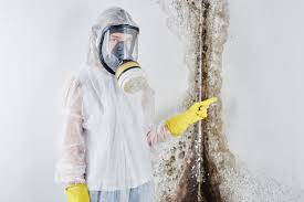 Best Biohazard Mold Removal  in St Pete Beach, FL